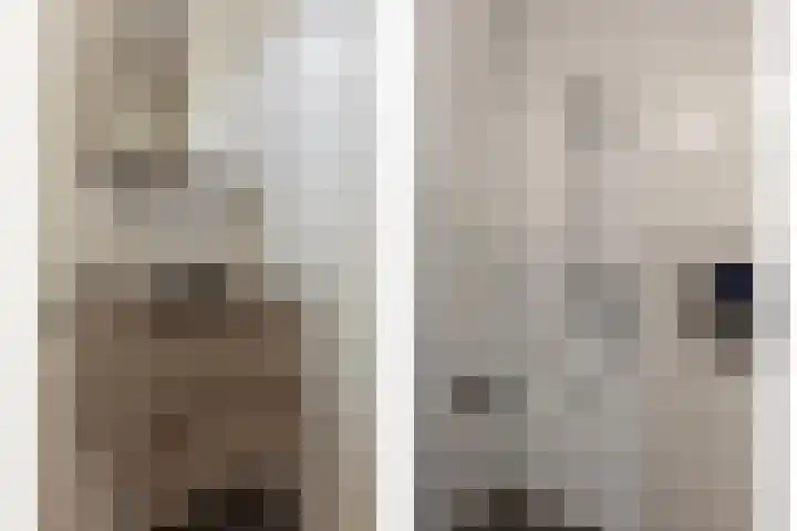 Jonkheer Hobbe Baerdt van Sminiaplein 5 Burgum thumbnail 20