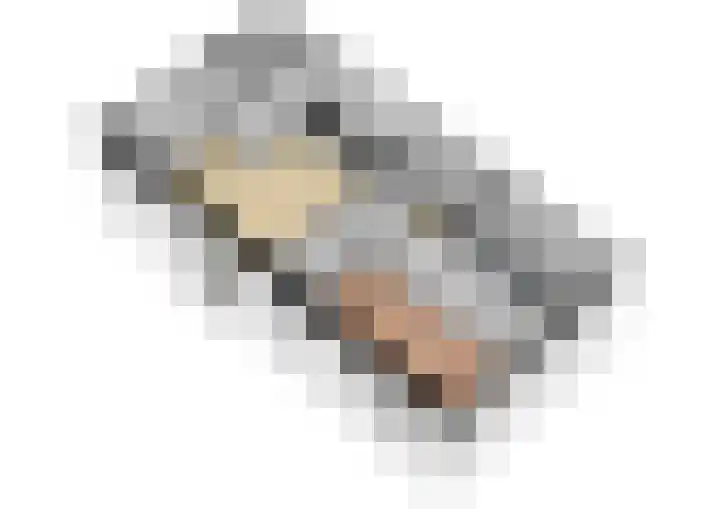 Jonkheer Hobbe Baerdt van Sminiaplein 5 Burgum thumbnail 24
