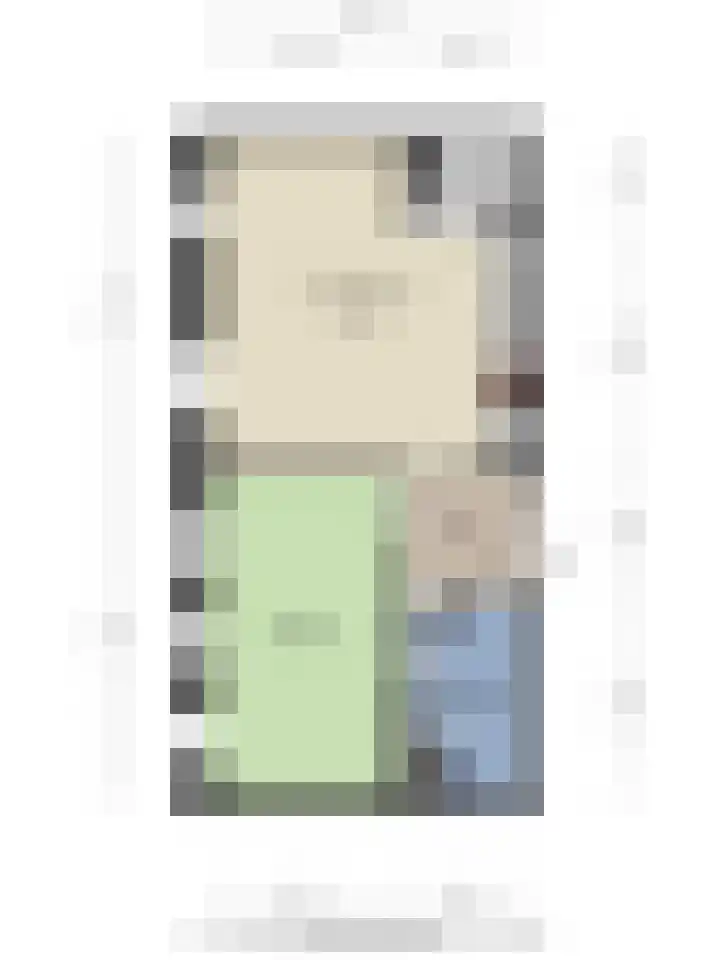 Jonkheer Hobbe Baerdt van Sminiaplein 5 Burgum thumbnail 26