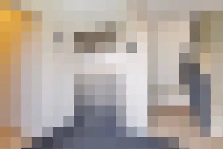 Jonkheer Hobbe Baerdt van Sminiaplein 5 Burgum thumbnail 9