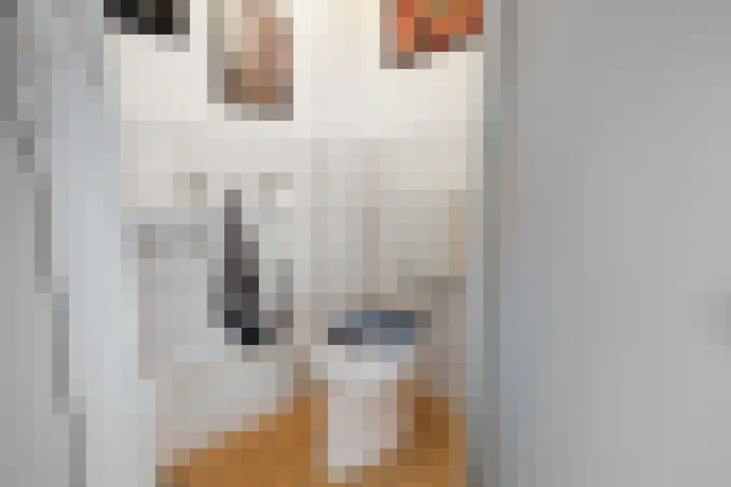 Jonkheer Jacob van Veenstraat 39 Den Helder thumbnail 12