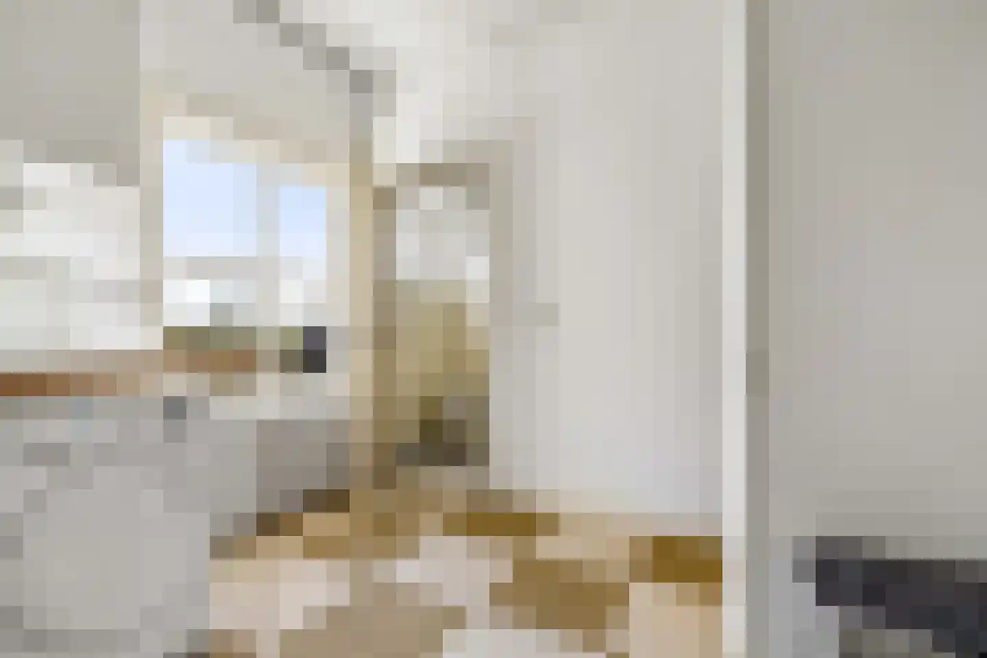 Jonkheer Ramweg 5 Schalkwijk thumbnail 34