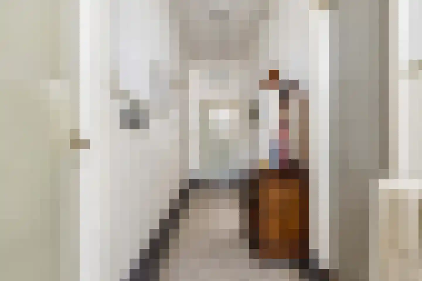 Jonkheer Ramweg 5 Schalkwijk thumbnail 4