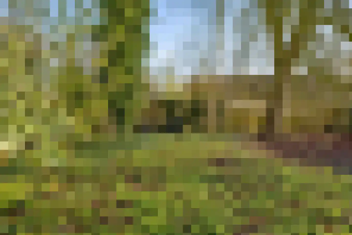 Jonkheer Ramweg 5 Schalkwijk thumbnail 43
