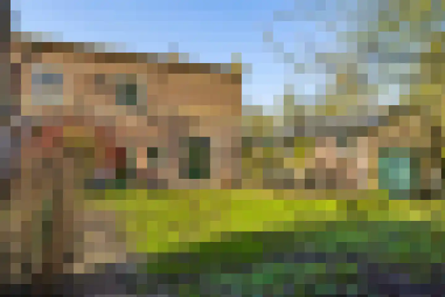 Jonkheer Ramweg 5 Schalkwijk thumbnail 44