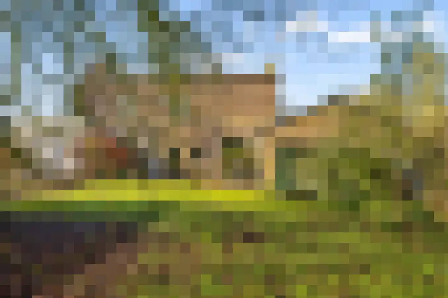 Jonkheer Ramweg 5 Schalkwijk thumbnail 45