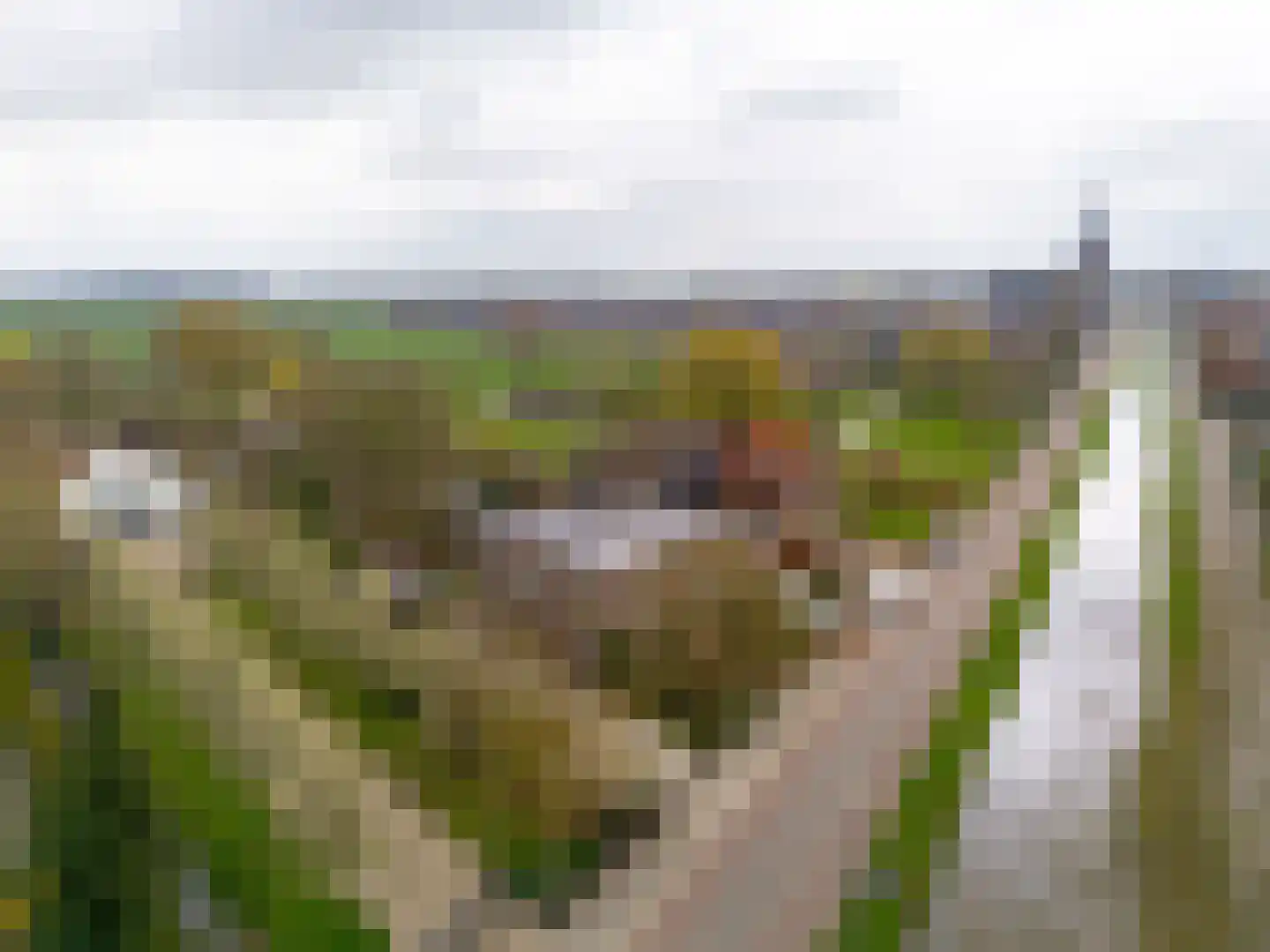 Jonkheer Ramweg 5 Schalkwijk thumbnail 53