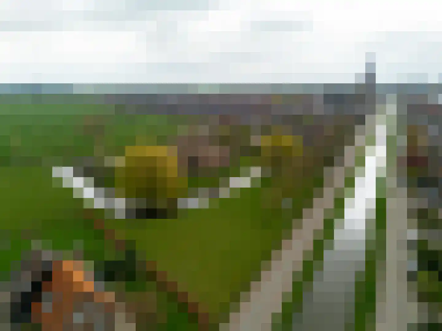 Jonkheer Ramweg 5 Schalkwijk thumbnail 55