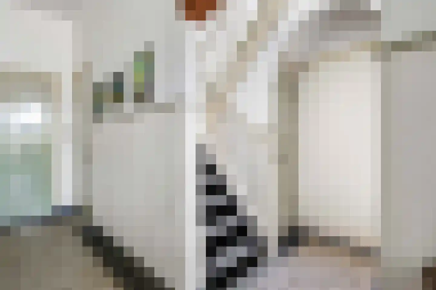 Jonkheer Ramweg 5 Schalkwijk thumbnail 6