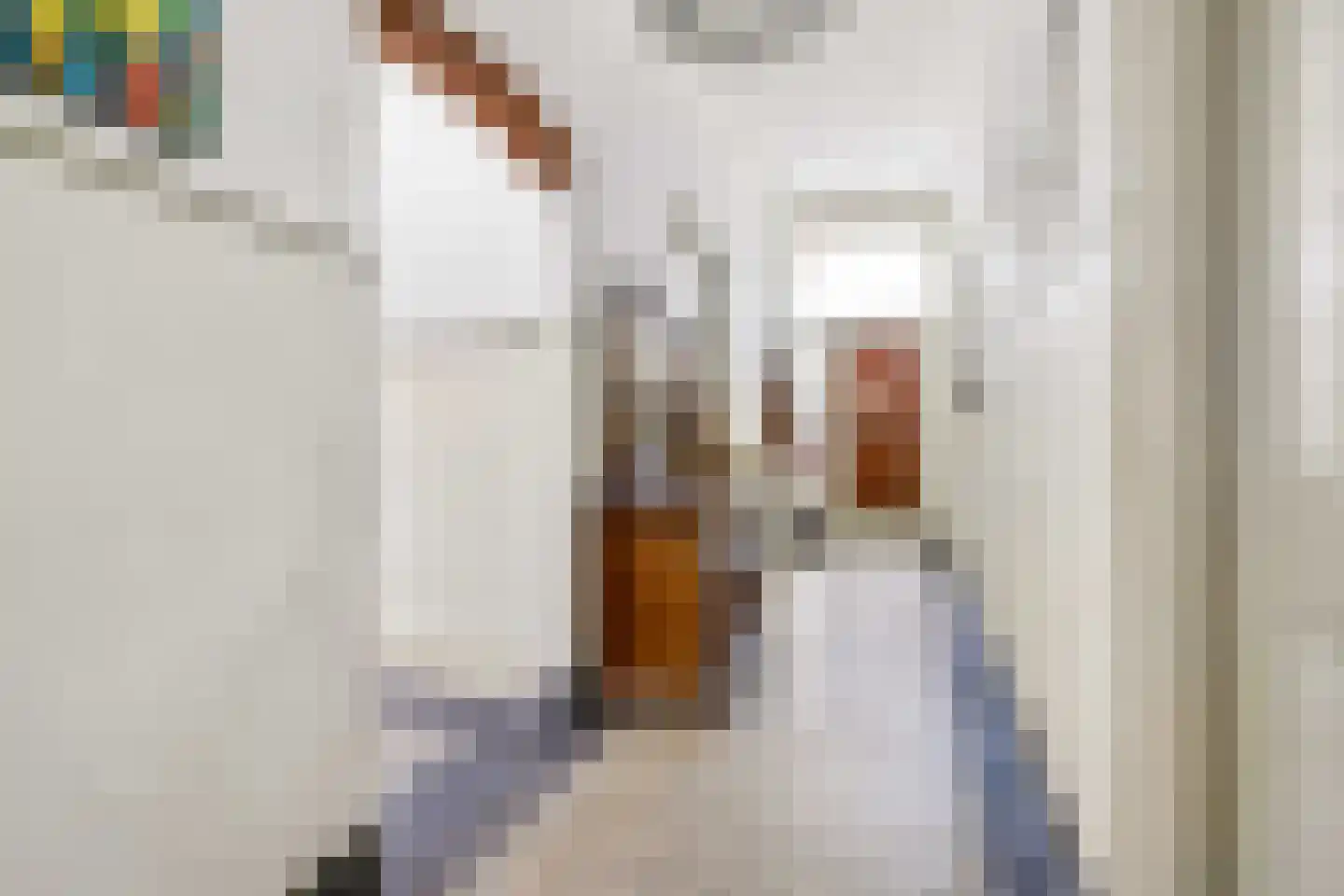 Jonkheer Ramweg 5 Schalkwijk thumbnail 7
