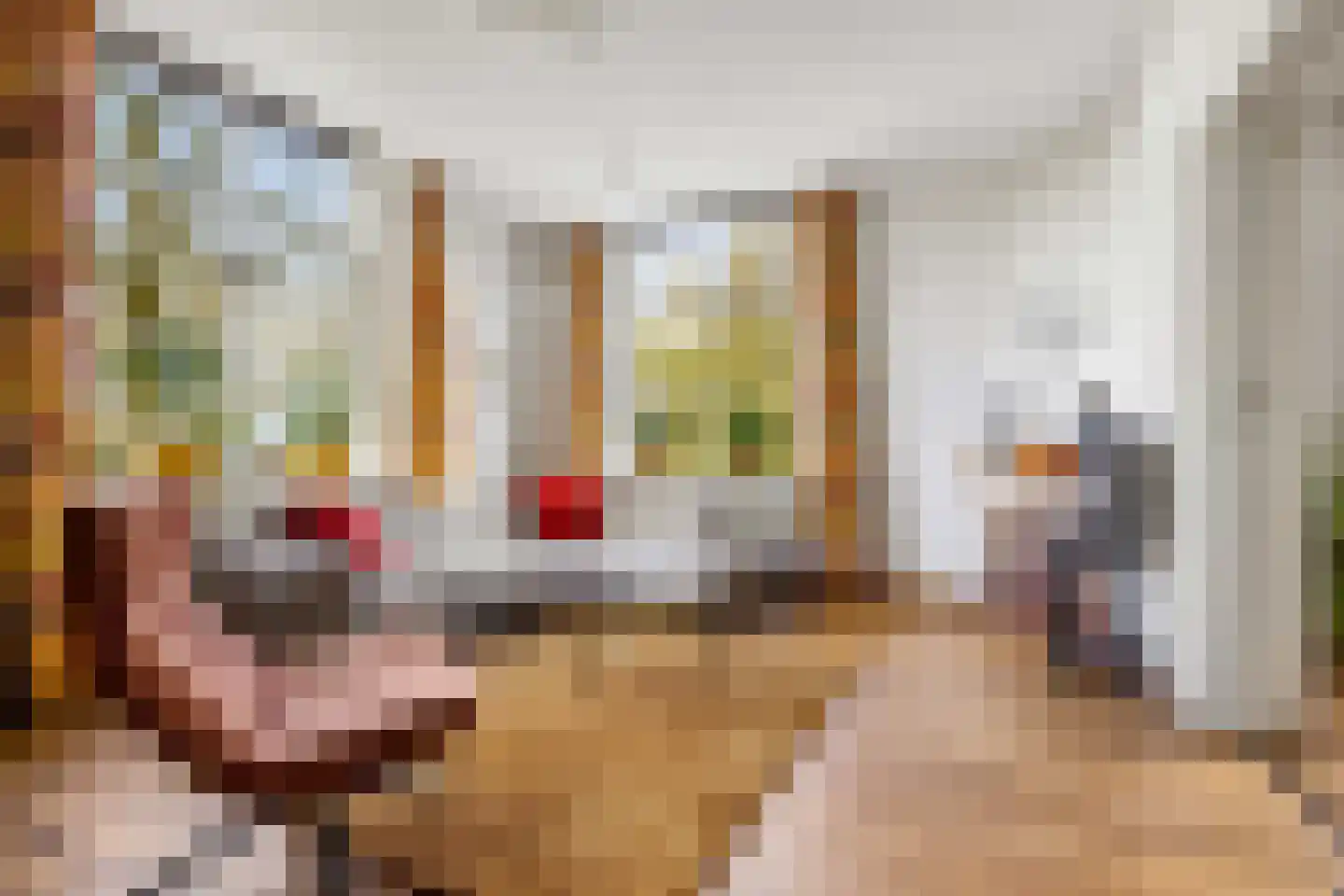 Jonkheer Ramweg 5 Schalkwijk thumbnail 8