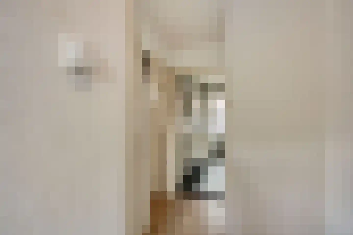 Jonkheer Ruysstraat 29 Maastricht thumbnail 22