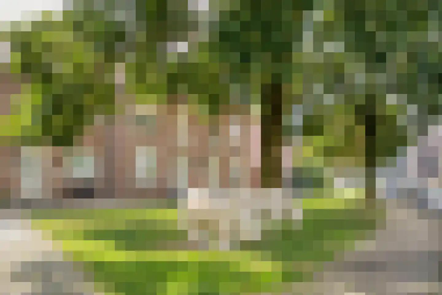 Jonkheer Ruysstraat 29 Maastricht thumbnail 35
