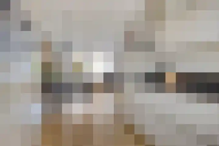 Jonkheer Ruysstraat 46 Maastricht thumbnail 8