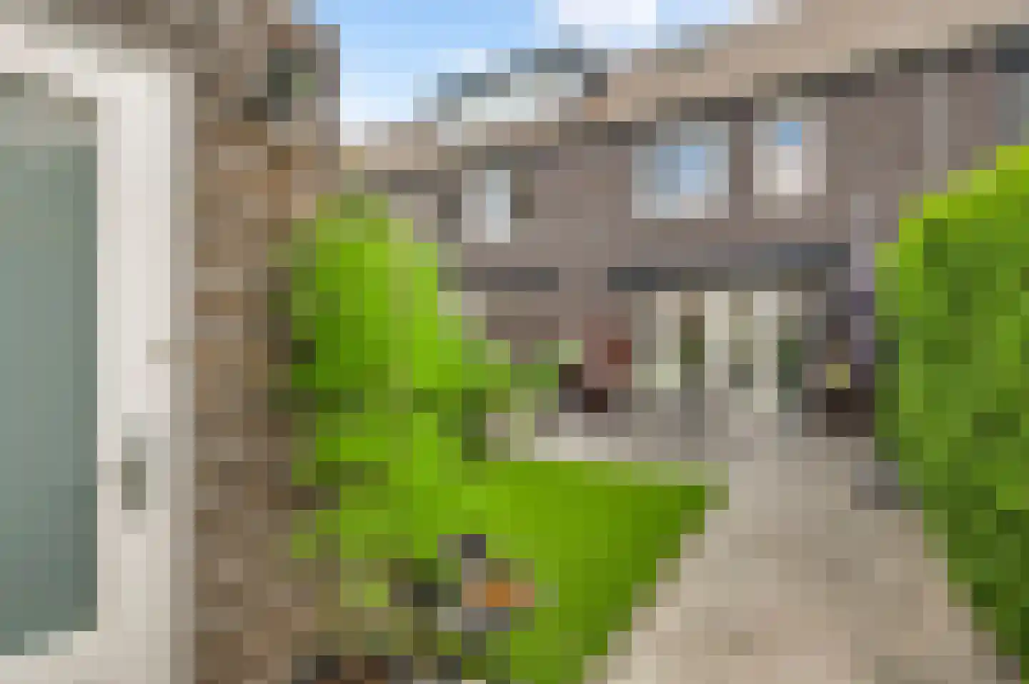 Jonkheer Ruysstraat 48 Maastricht thumbnail 17