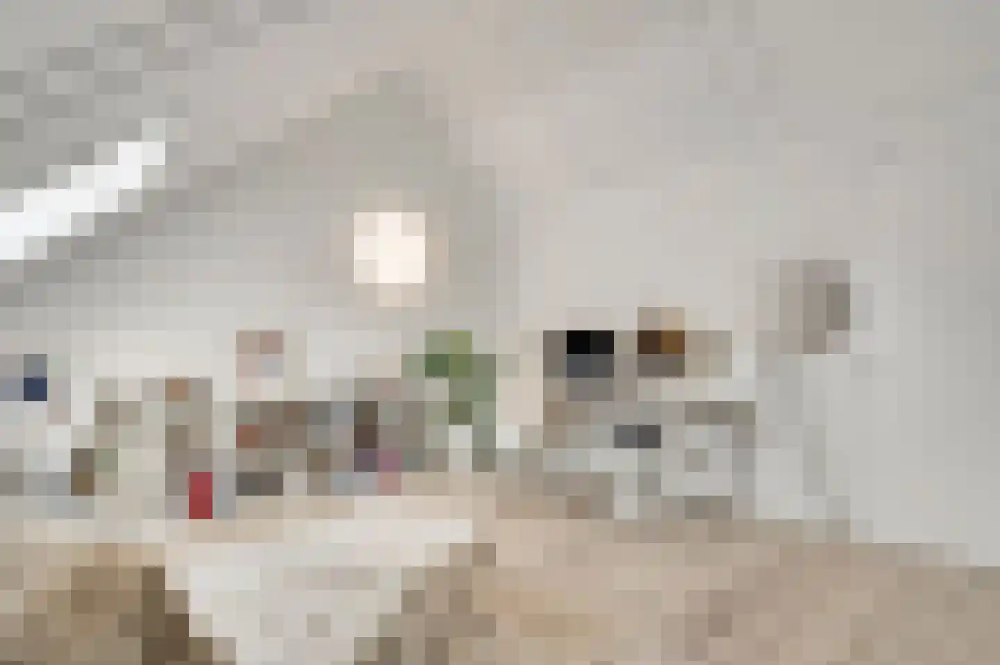 Jonkheer Ruysstraat 48 Maastricht thumbnail 27