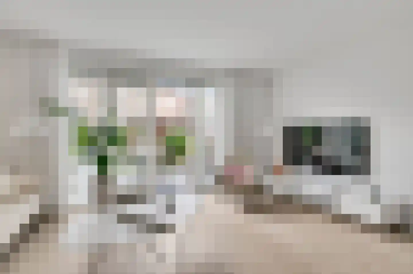 Jonkheer Ruysstraat 48 Maastricht thumbnail 6