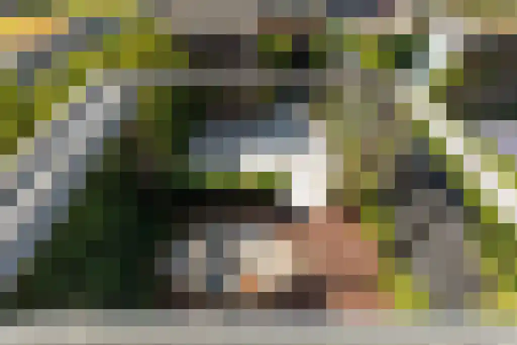 Jonkheer Ruysstraat 50 Maastricht thumbnail 8