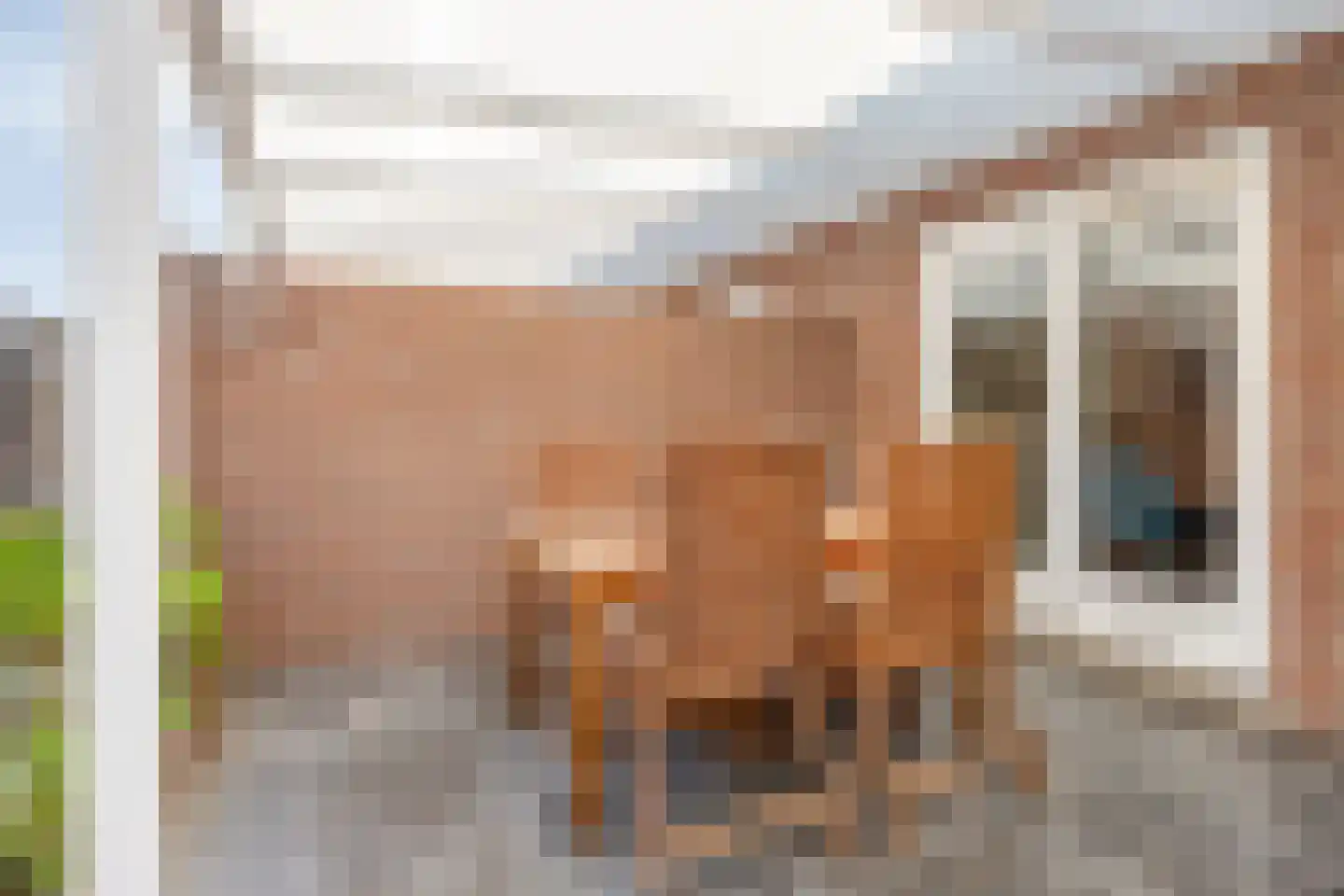 Jonkheer Ruysstraat 55 Maastricht thumbnail 26
