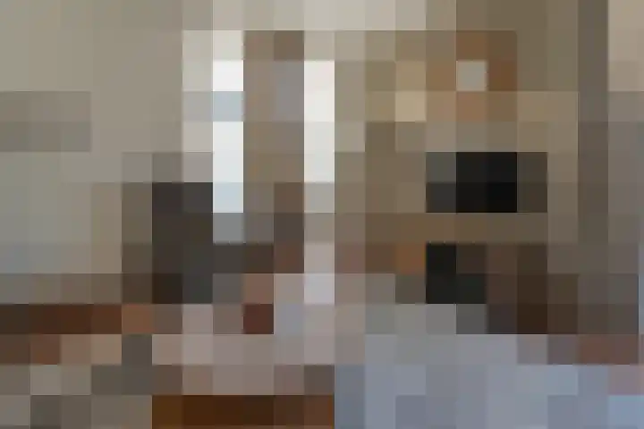 Jonkheer Sandberglaan 1 B Hierden thumbnail 11