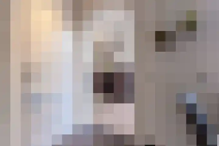 Jonkheer Sandberglaan 1 B Hierden thumbnail 22