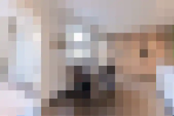 Jonkheer Sandberglaan 1 B Hierden thumbnail 23