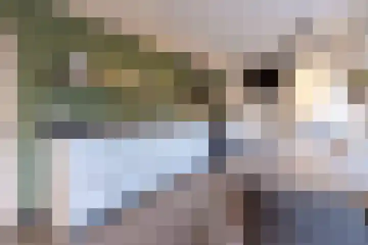 Jonkheer Sandberglaan 1 B Hierden thumbnail 26