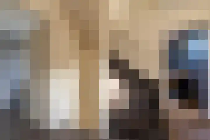 Jonkheer Sandberglaan 1 B Hierden thumbnail 40