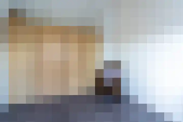 Jonkheer Sandberglaan 1 B Hierden thumbnail 45