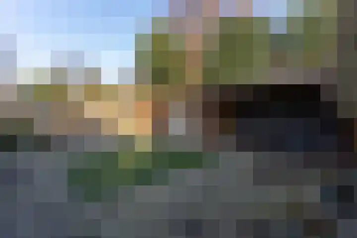 Jonkheer Sandberglaan 1 B Hierden thumbnail 48