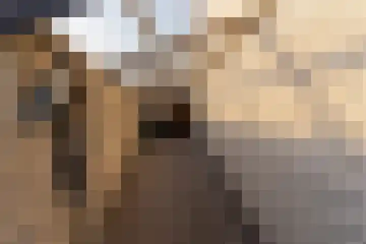 Jonkheer Sandberglaan 1 B Hierden thumbnail 52