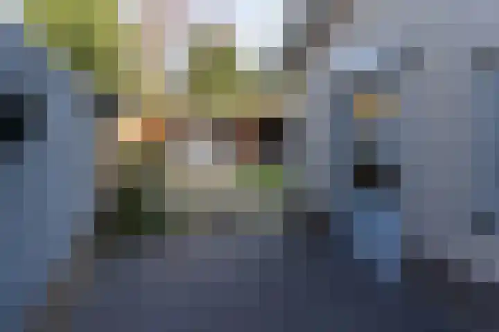 Jonkheer Sandberglaan 1 B Hierden thumbnail 53