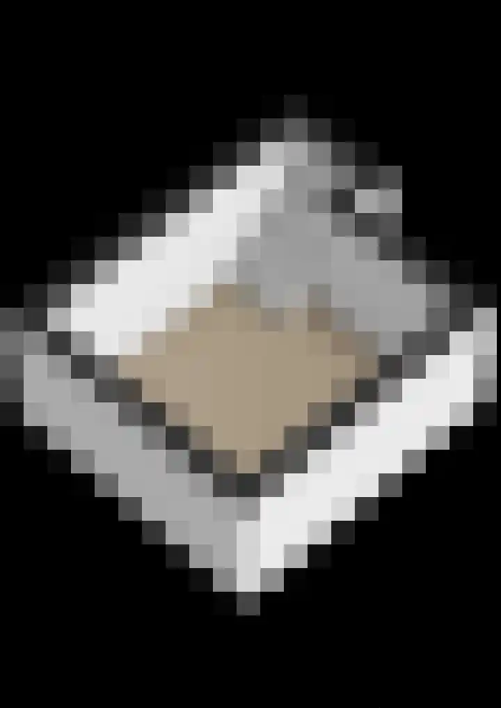 Jonkheer Sandberglaan 1 B Hierden thumbnail 64
