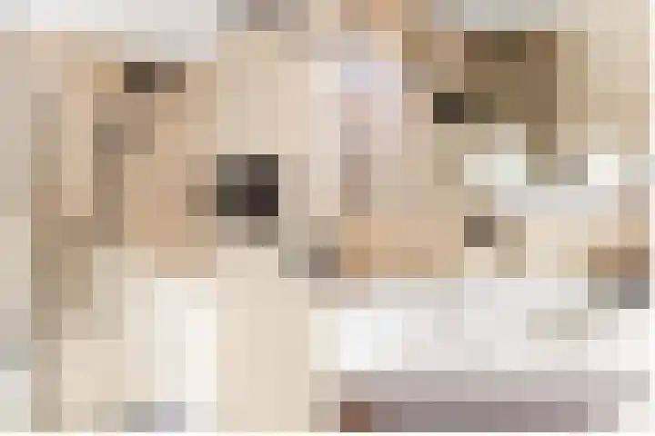 Jonkheer Sandberglaan 34 Hierden thumbnail 28