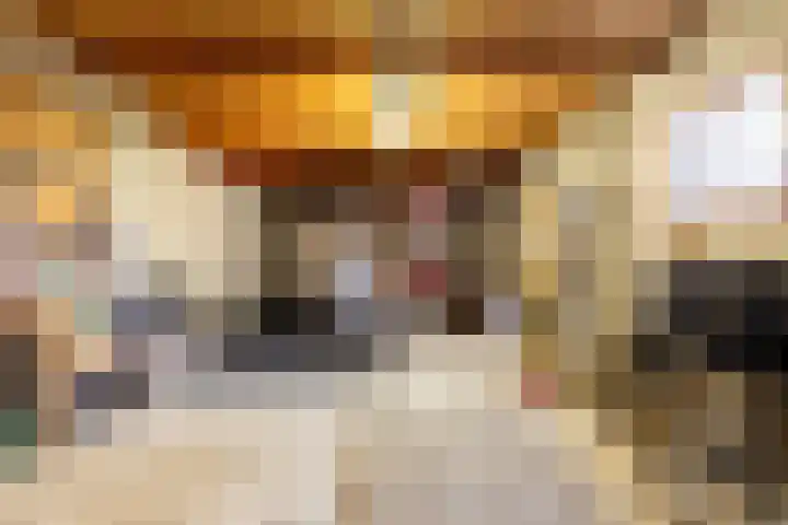 Jonkheer Sandberglaan 34 Hierden thumbnail 32
