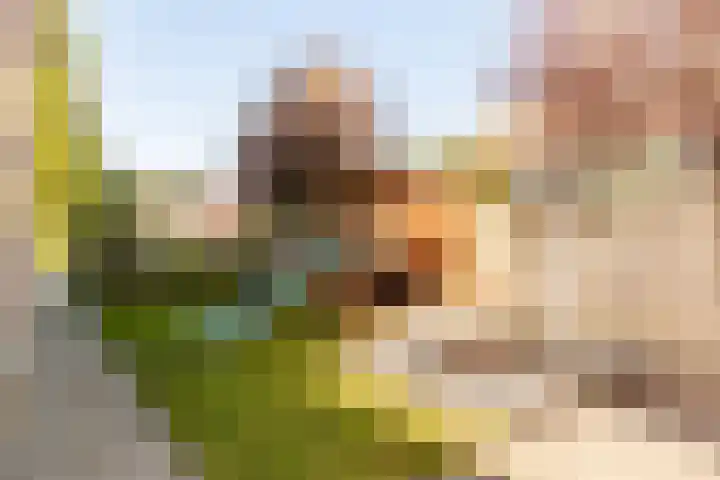 Jonkheer Sandberglaan 34 Hierden thumbnail 37