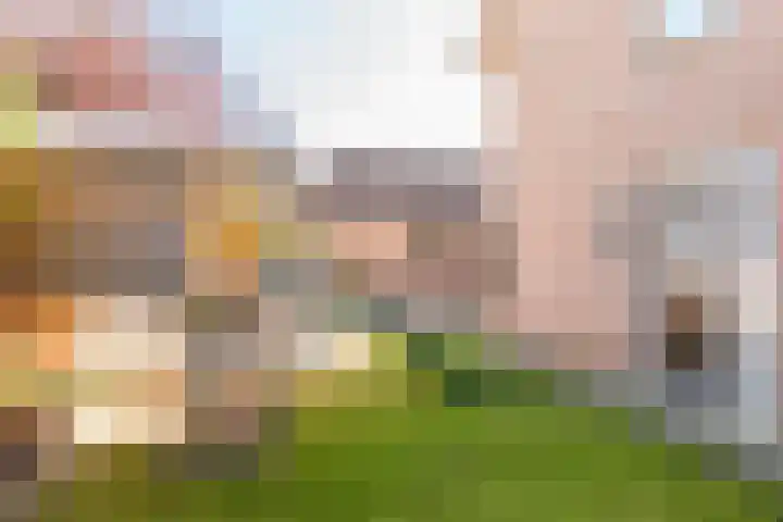 Jonkheer Sandberglaan 34 Hierden thumbnail 38