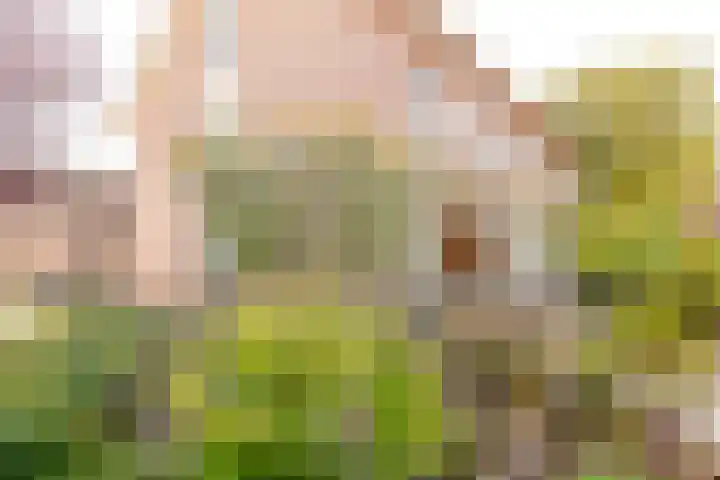 Jonkheer Sandberglaan 34 Hierden thumbnail 39