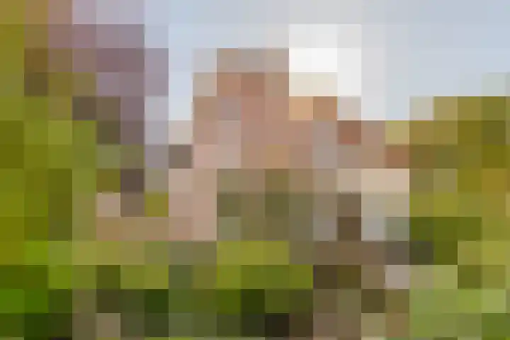 Jonkheer Sandberglaan 34 Hierden thumbnail 40
