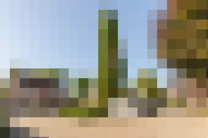 Jonkheer Sandberglaan 34 Hierden thumbnail 41