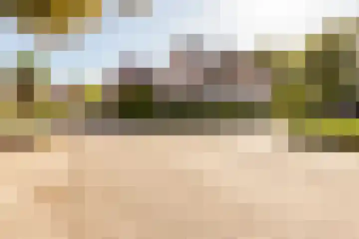 Jonkheer Sandberglaan 34 Hierden thumbnail 42