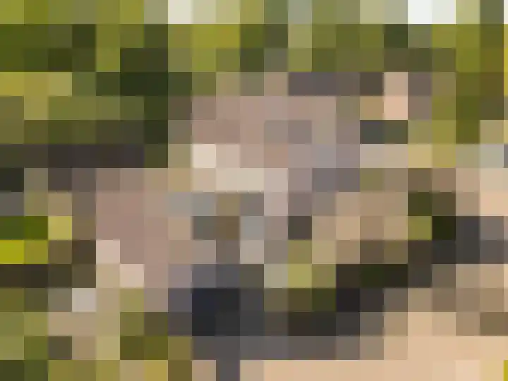 Jonkheer Sandberglaan 34 Hierden thumbnail 47