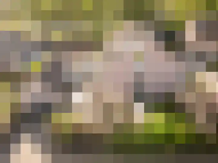 Jonkheer Sandberglaan 34 Hierden thumbnail 48