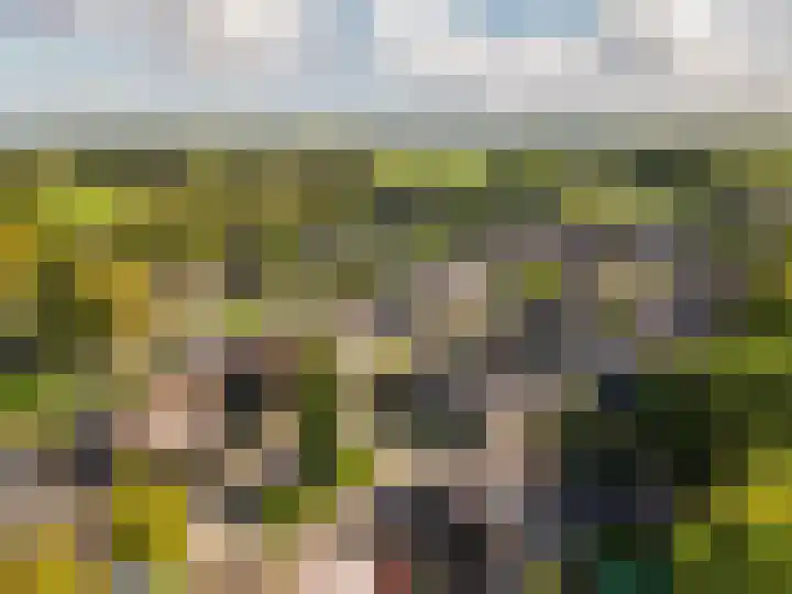 Jonkheer Sandberglaan 34 Hierden thumbnail 49