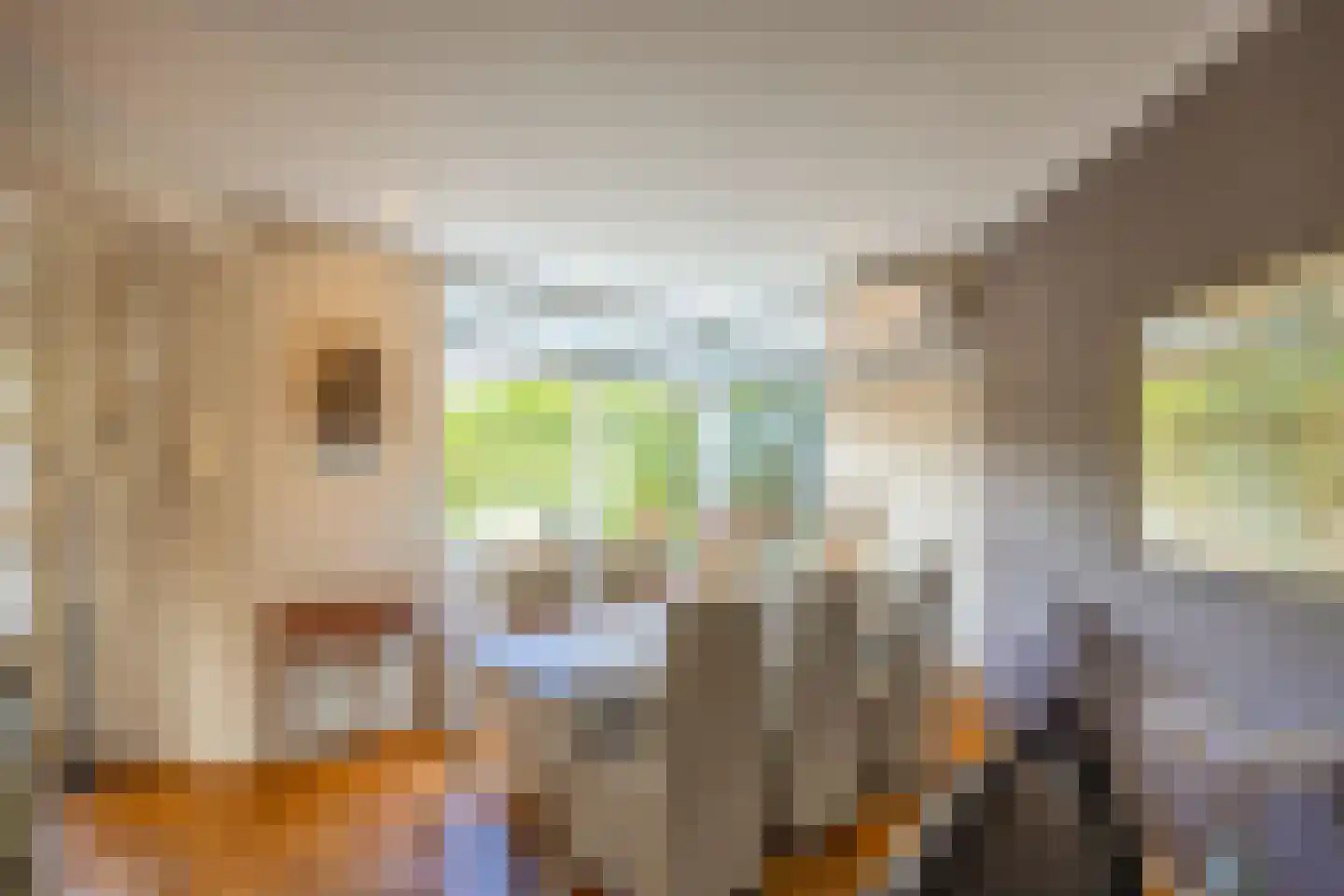 Jonkheer Sixhof 10 Kortenhoef thumbnail 17