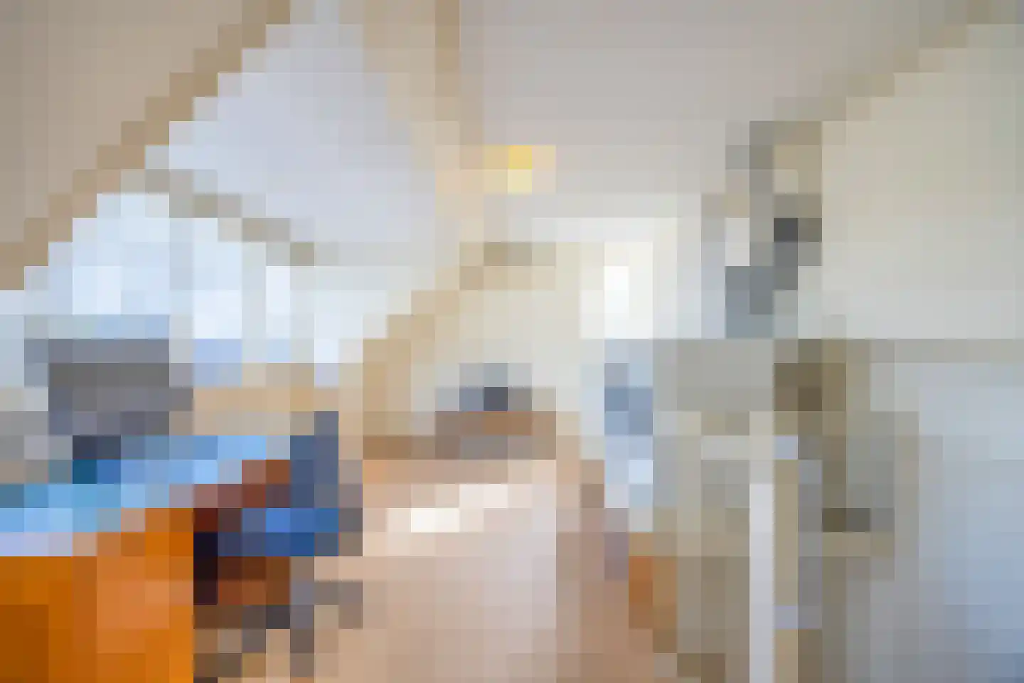 Jonkheer Sixhof 10 Kortenhoef thumbnail 30