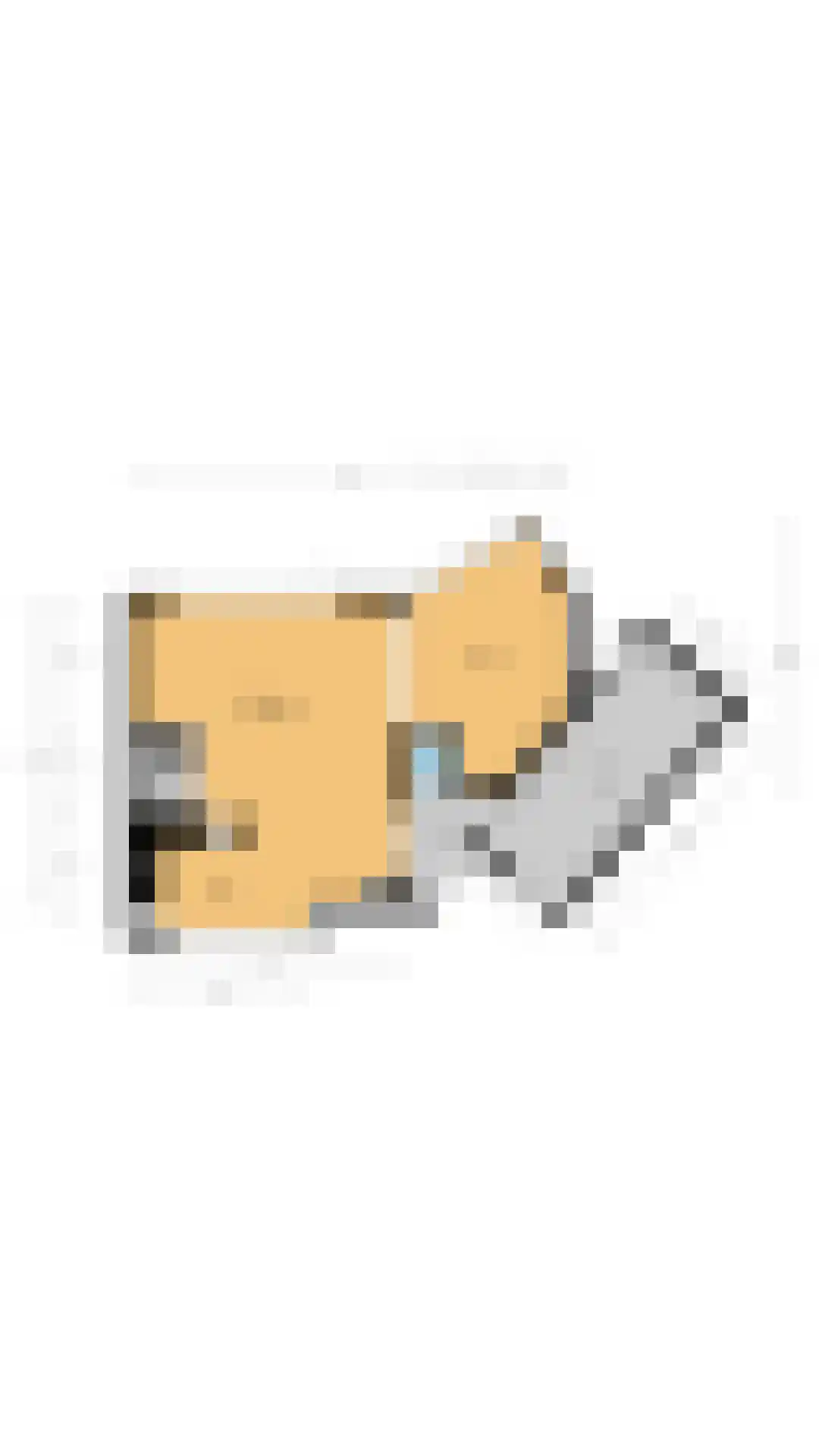 Jonkheer Sixhof 10 Kortenhoef thumbnail 44