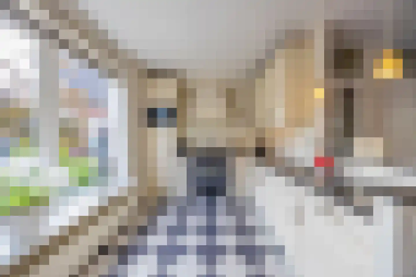 Jonkheer Sixhof 10 Kortenhoef thumbnail 6