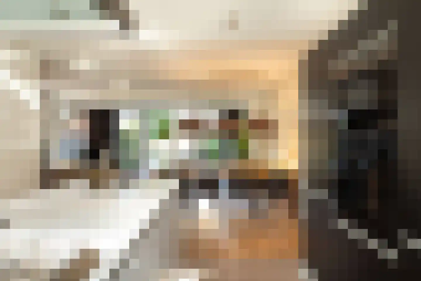 Jonkheer Sixhof 19 Kortenhoef thumbnail 14