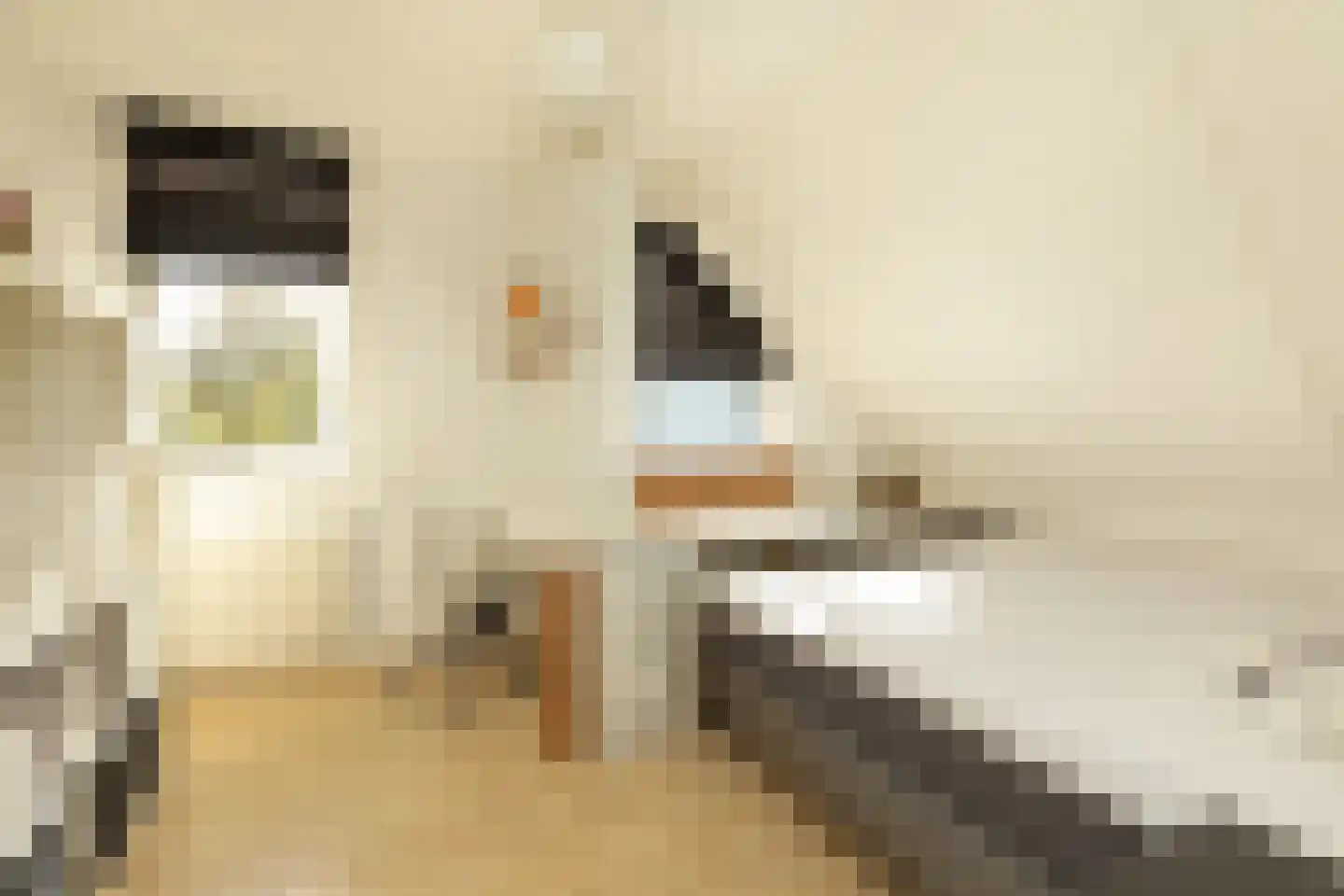 Jonkheer Sixhof 19 Kortenhoef thumbnail 18
